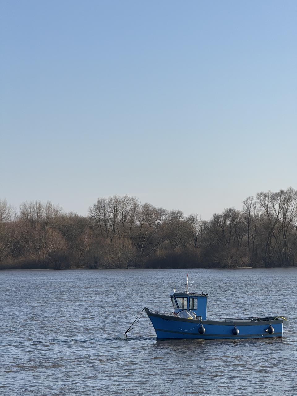 Photo d'un petit bateau de pêche bleu sur la Loire