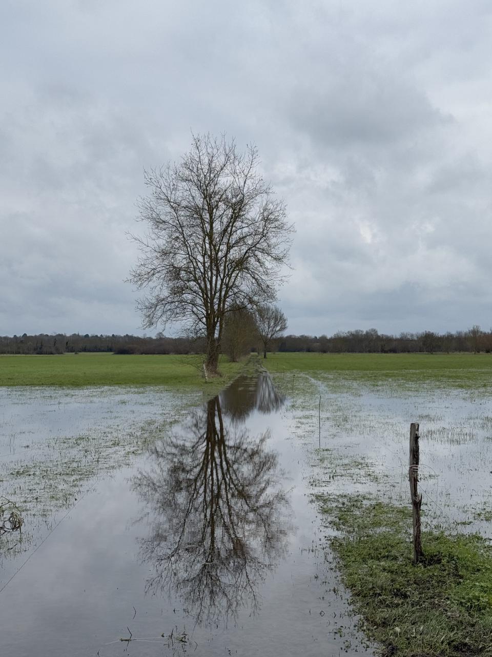 Photo du chemin qu'il faudrait suivre, il coupe entre deux champs, tout est sous l'eau