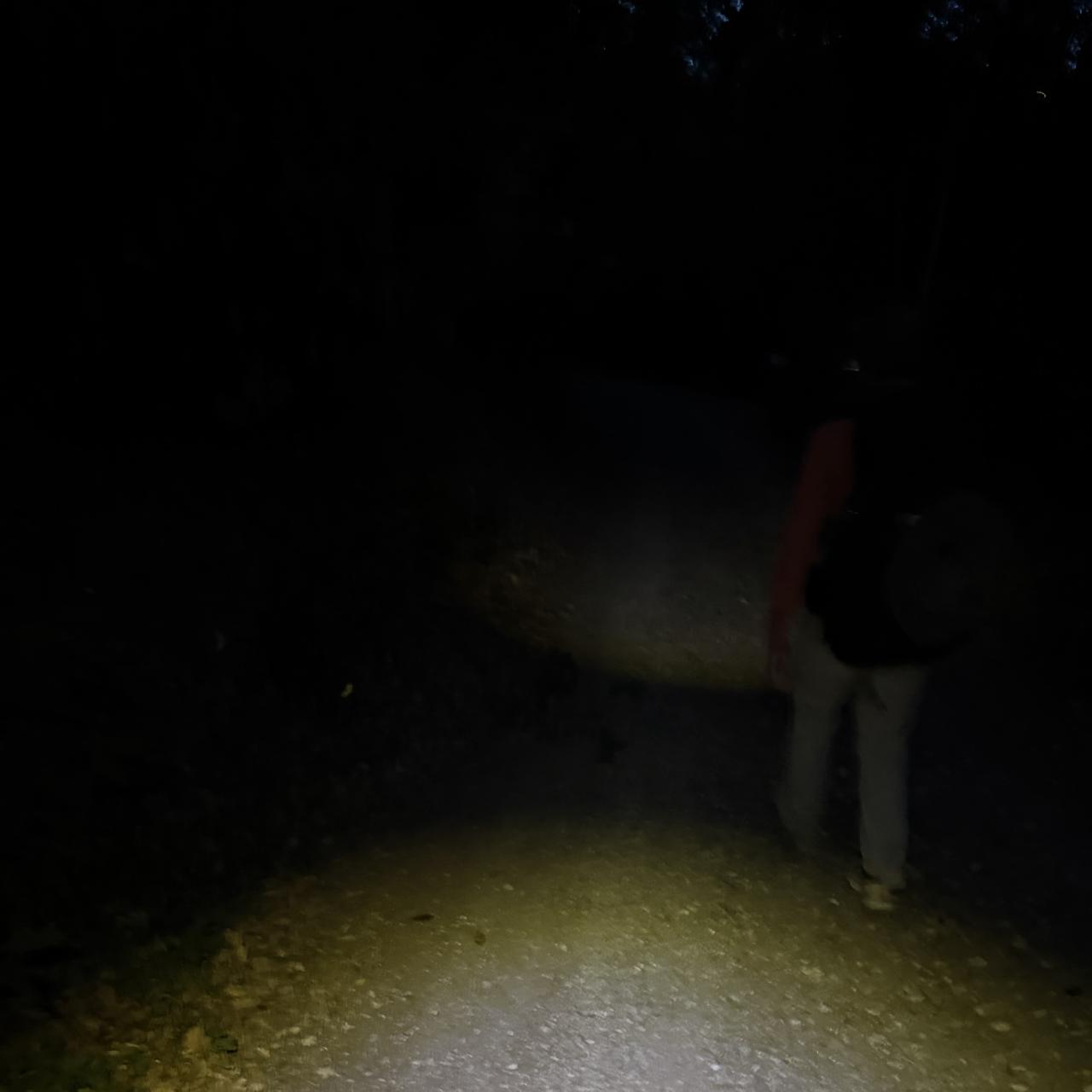 on ne voit pas grand chose il fait noir mais un chemin est éclairé par une lampe frontale 