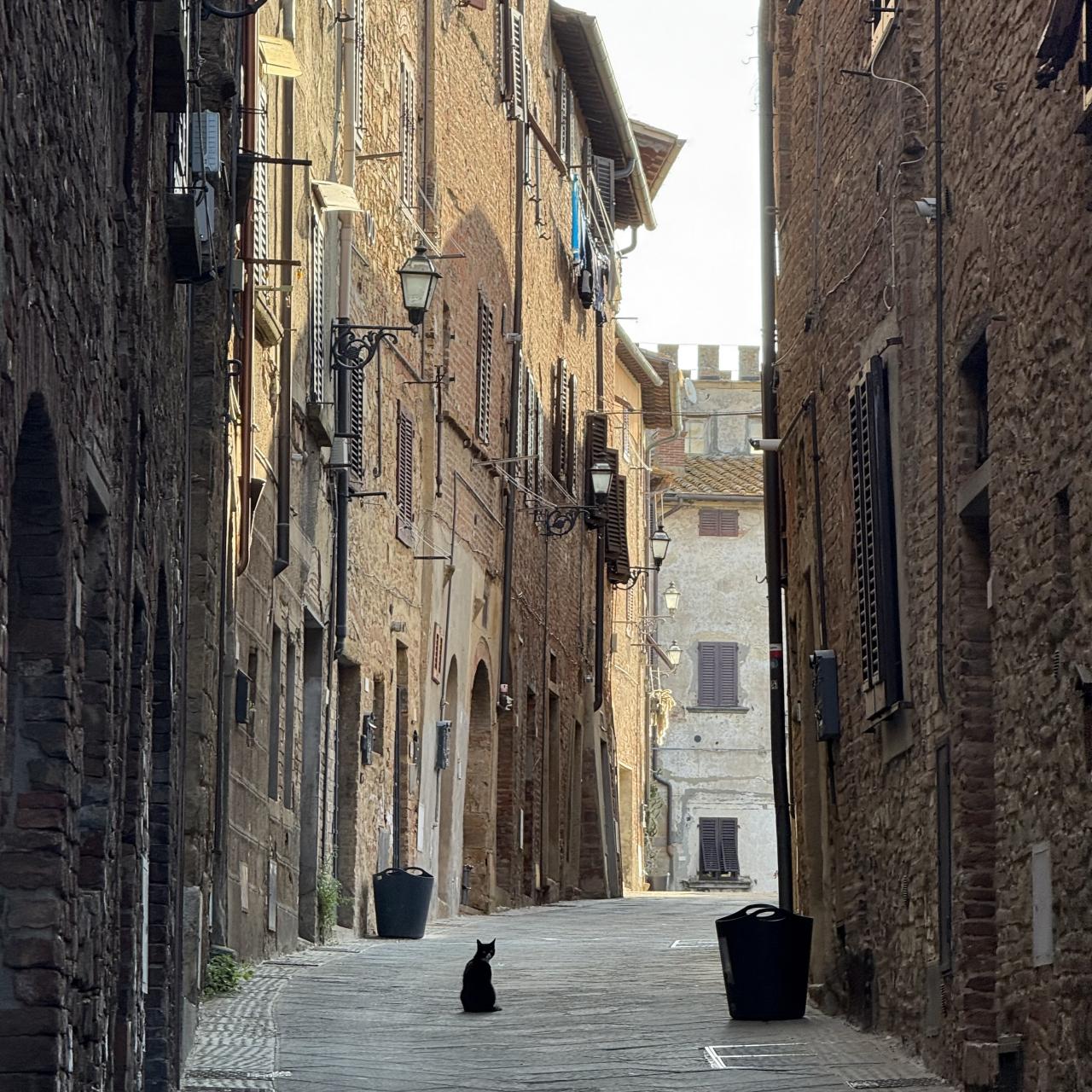 un chat noir au milieu d'une ruelle pavé dans un cadre de ville fortifiée
