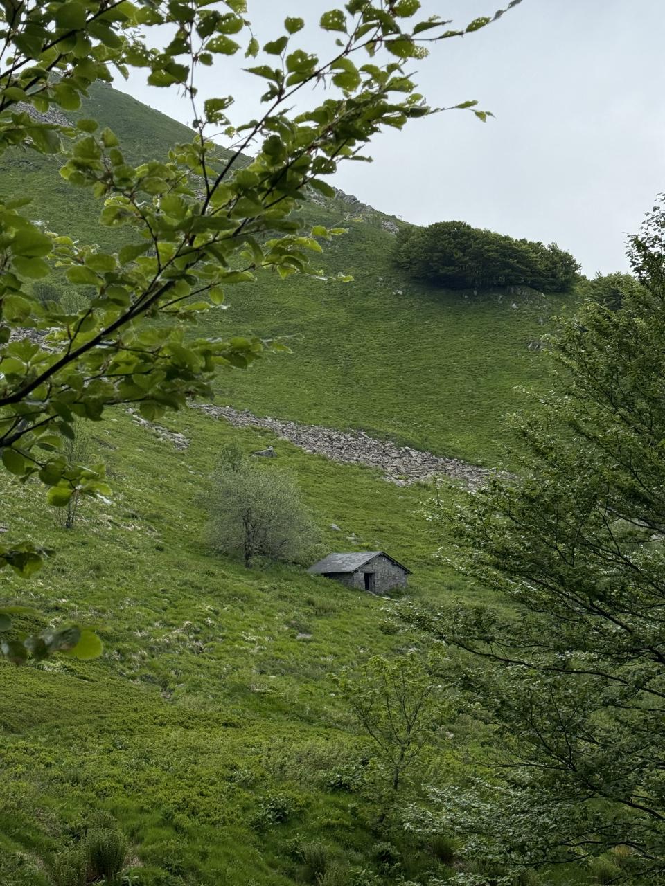 cabane en pierre vu de loin entouré de végétation