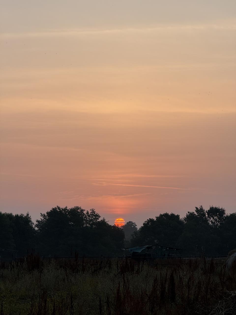 levé de soleil au dessus de la forêt. Couleur orangées