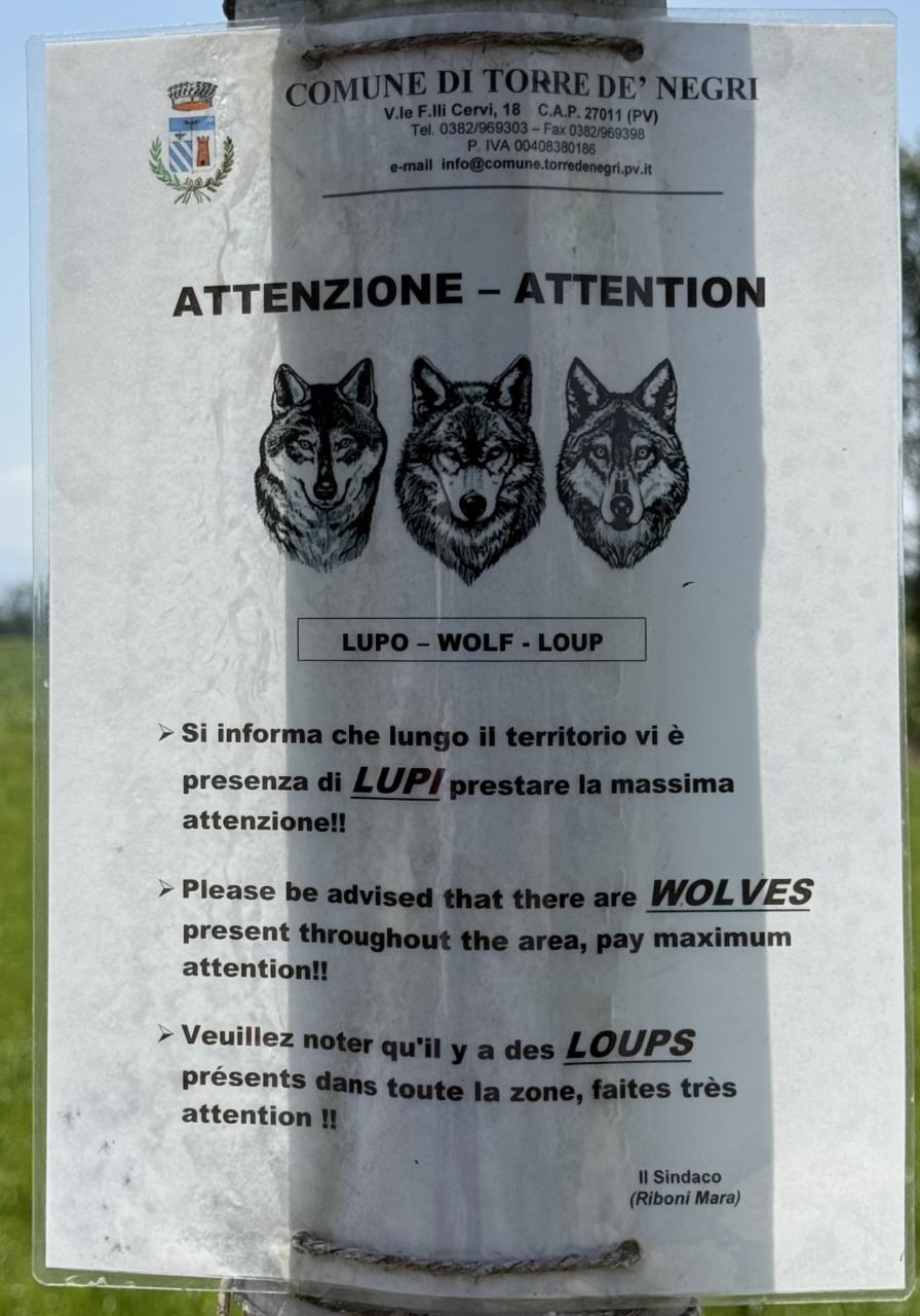 pancarte qui explique qu'il y a des loups dans la région
