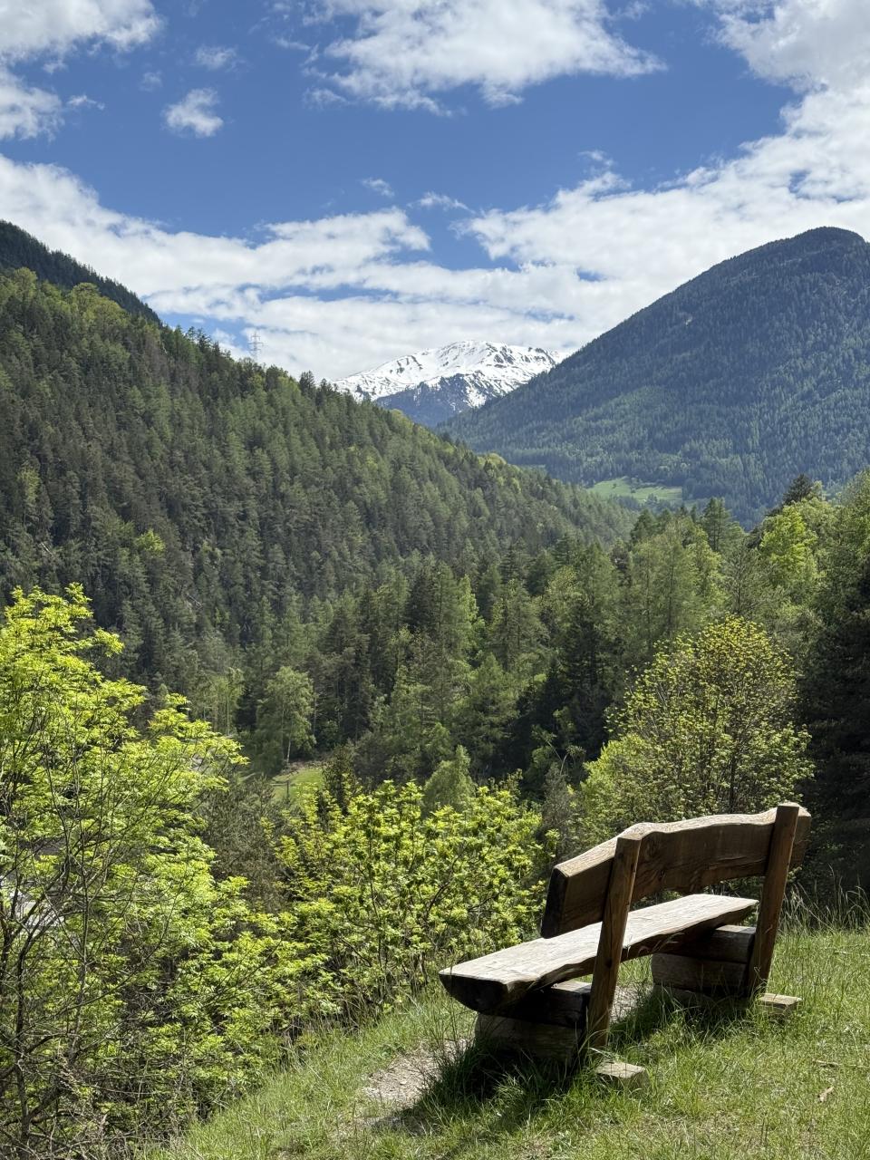 un banc face à une petite chaîne de montagne. Deux sont recouvertes de forêt une est plus haute et enneigée