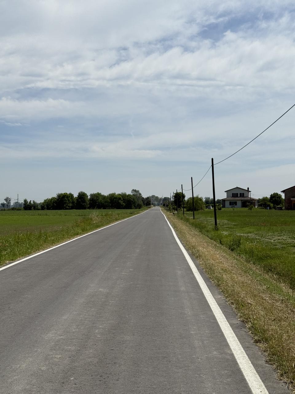 route goudronnée entre deux champs 