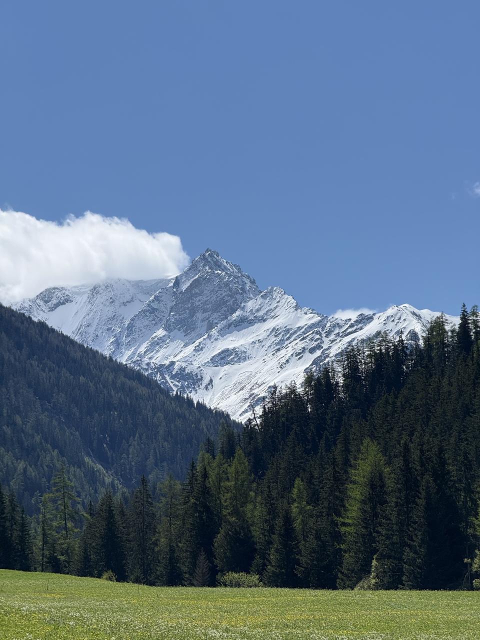 un sommet enneigé sur ciel bleu