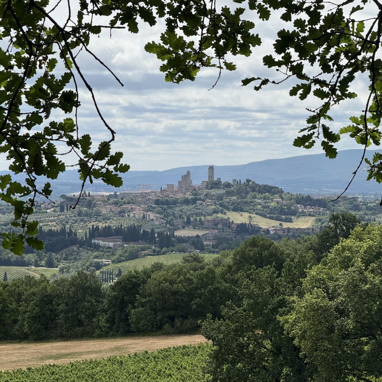 on voit une lignes de bâtiments médiévaux au loin
