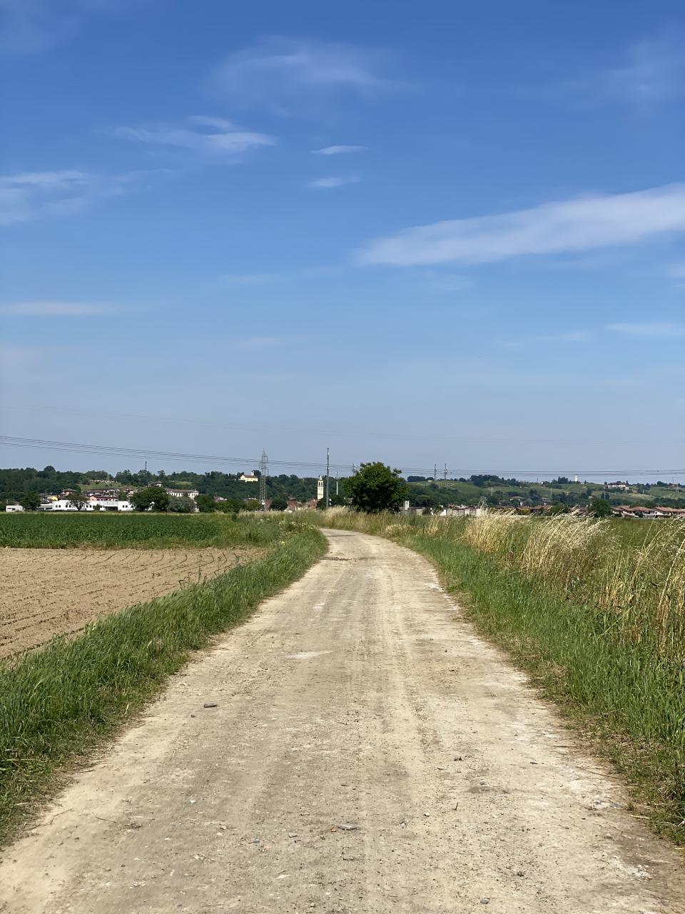 chemin en terre battue entre rizières et champs