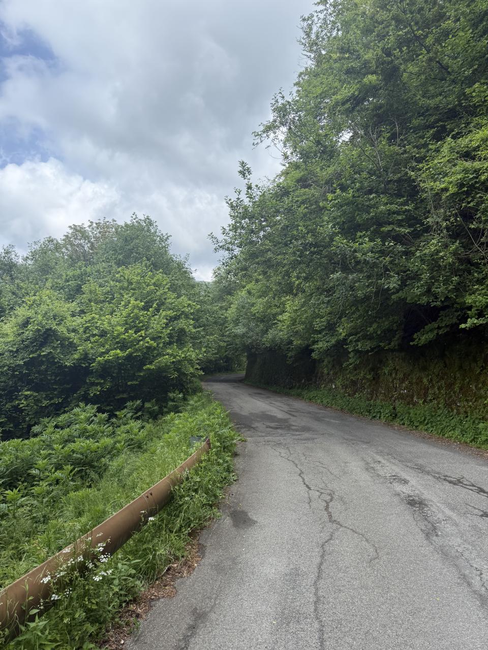 le lieu ou la photo a été prise sur une route pas folichonne
