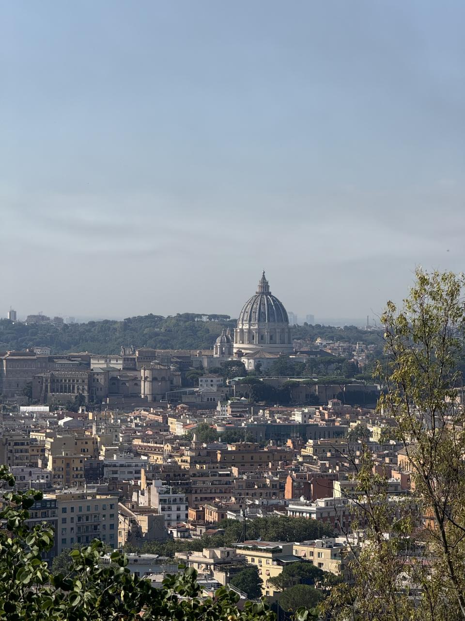 on voit la ville au loin et la coupole du Vatican